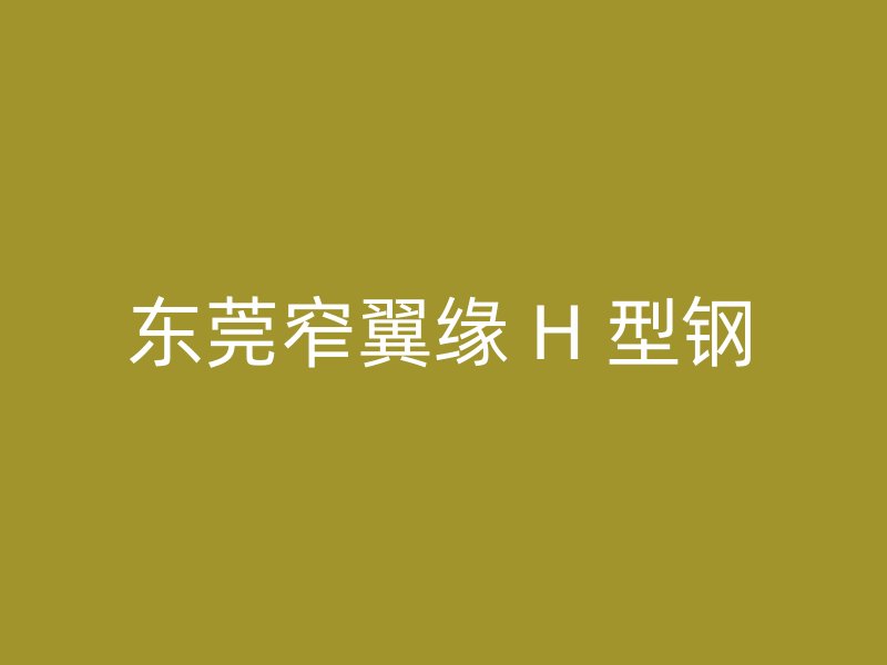 東莞窄翼緣 H 型鋼